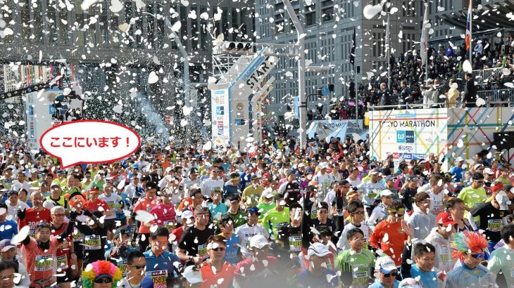 東京マラソン2016（2016年2月28日）出場レポート　3時間13分09秒